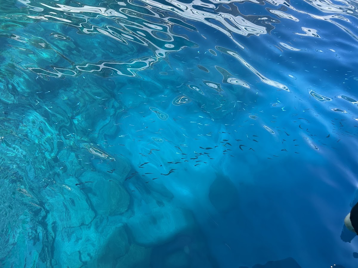Fethiye — Freddy S Daily Boat Trip — galeri