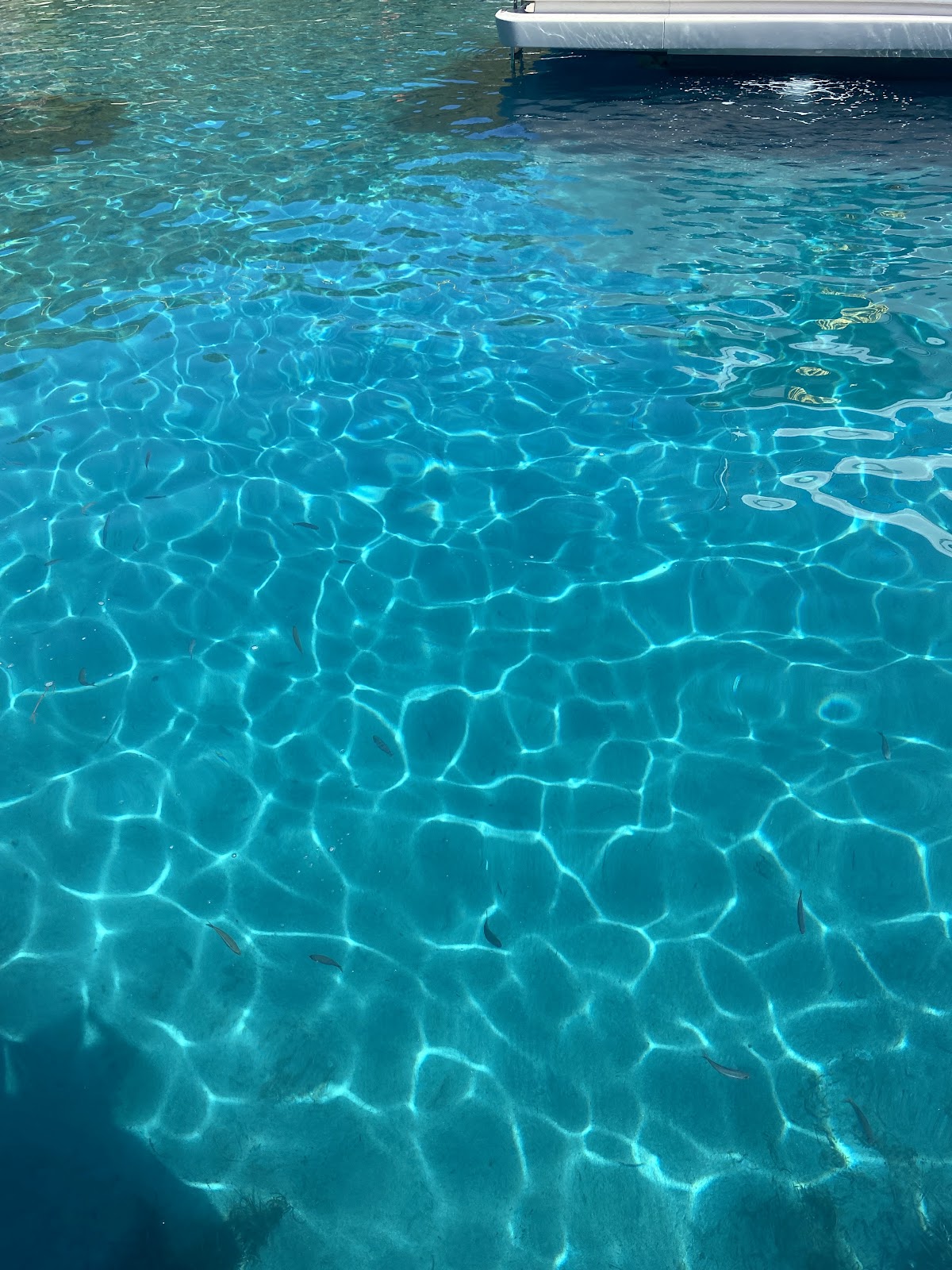 Datça — Olugide Datca Tekne Turu — galeri
