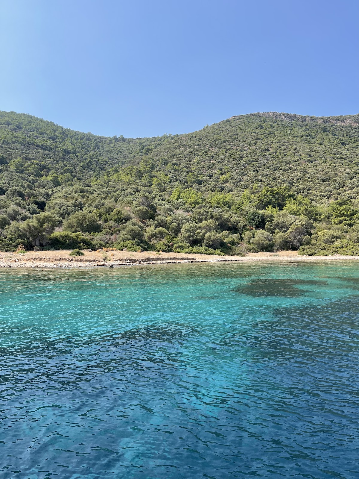 Bodrum — Yusufum Yatcilik Bodrum Tekne Turu Bodrum Boat Trips Motoryat Kiralama Bodrum Korsan Teknesi — galeri