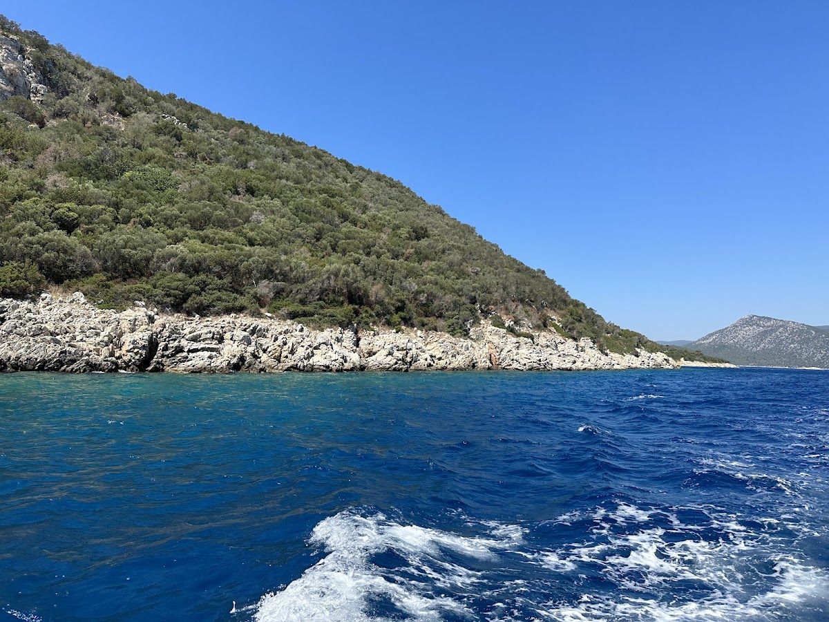 Bodrum — Bodrum Orak Adasi Tekne Turu I Bodrumdayiz — galeri