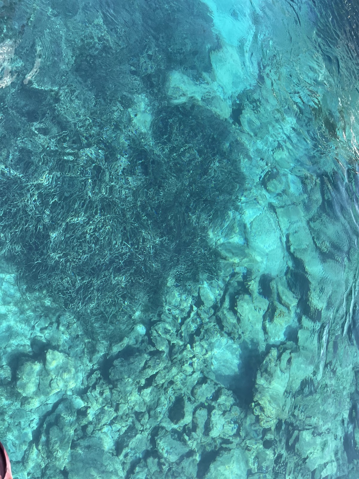 Bodrum — Bodrum Orak Adasi Tekne Turu I Bodrumdayiz — gallery