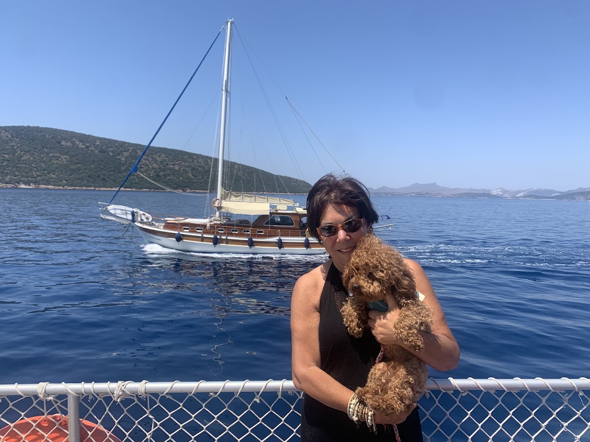Bodrum — Orak Adasi Gunluk Gezi Teknesi La Bebe — galeri