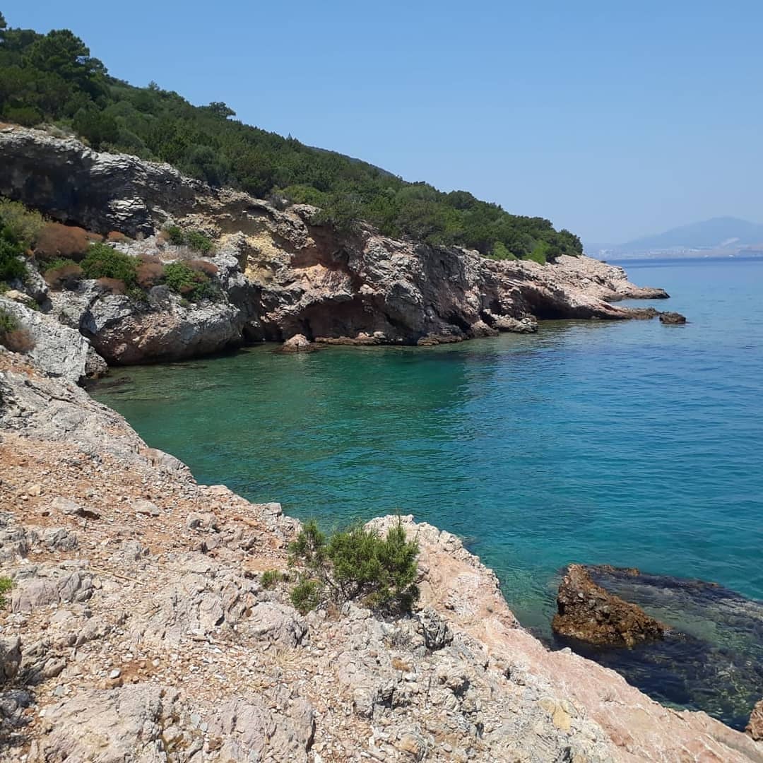 Bodrum — Bodrum Tekne Turu Mojito — galeri