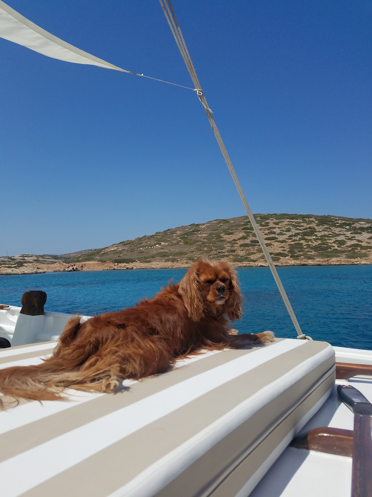 Patmos — Patmos Sailing — galeri