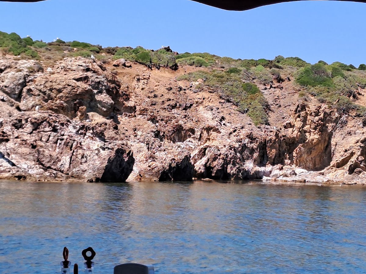 Cunda — Cunda Tekne Turu Denizici Tur — gallery