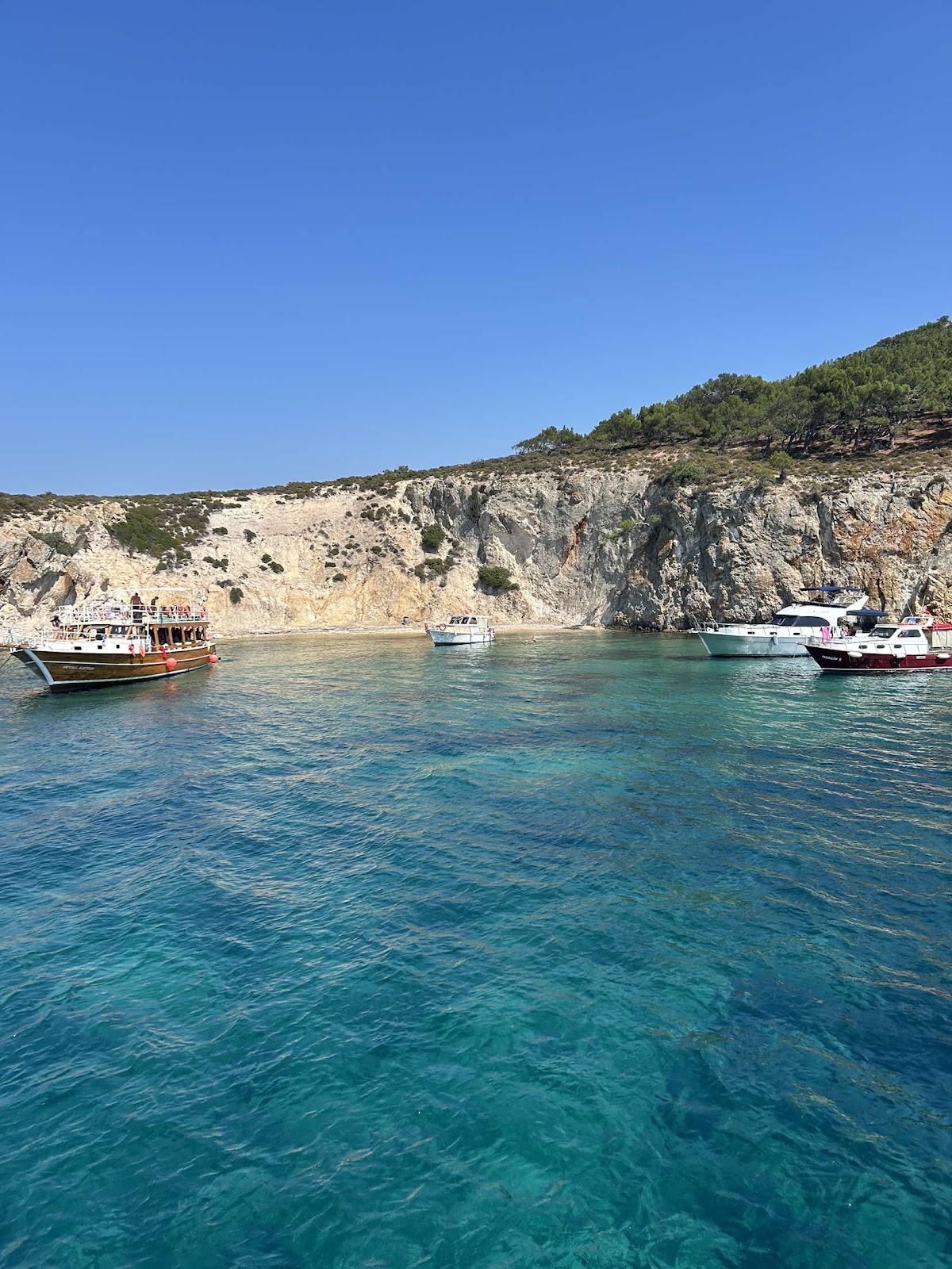 Cunda — Cunda Tekne Turu Denizici Tur — galeri