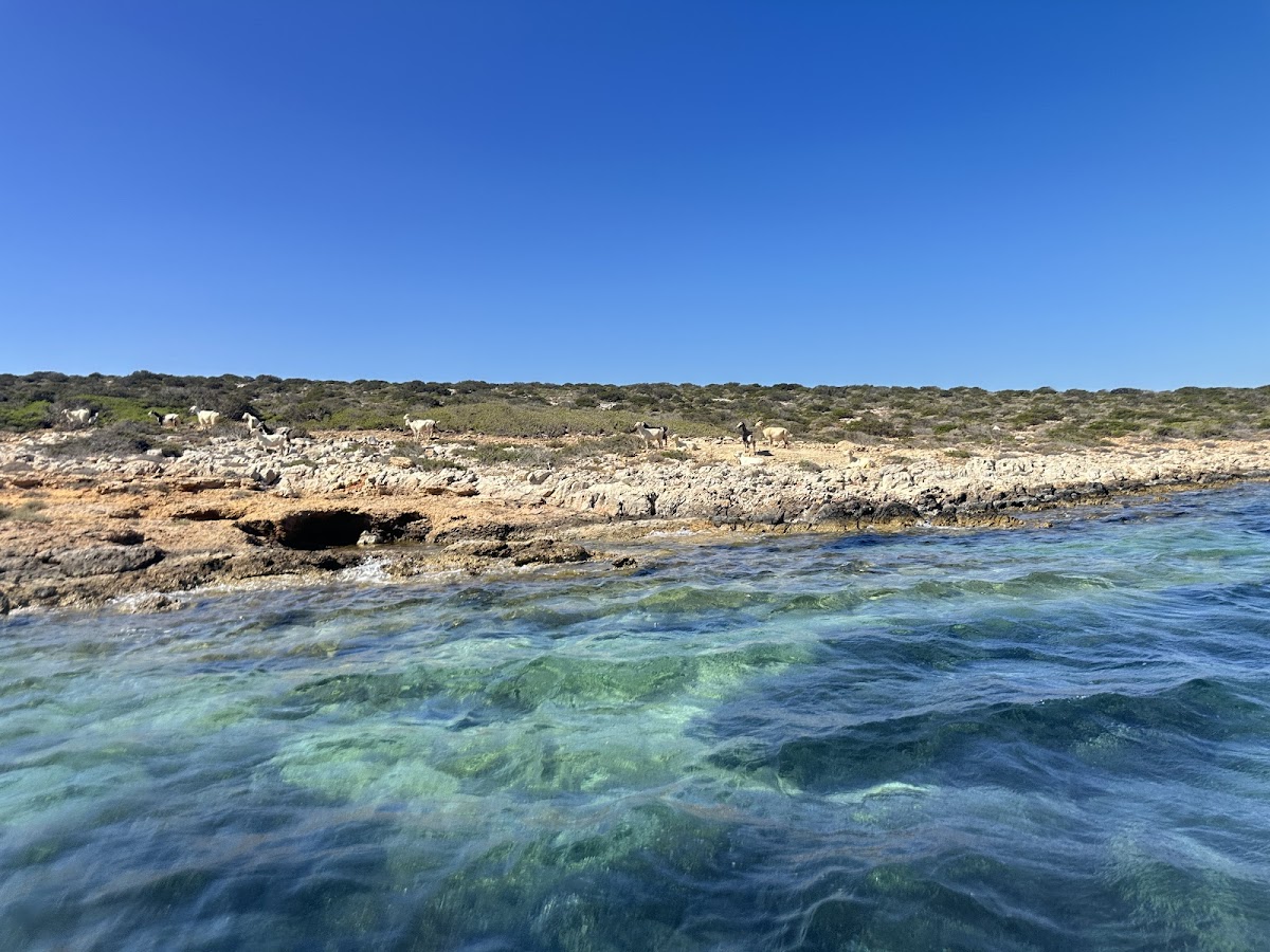 Paros — Yrian Cruising — galeri