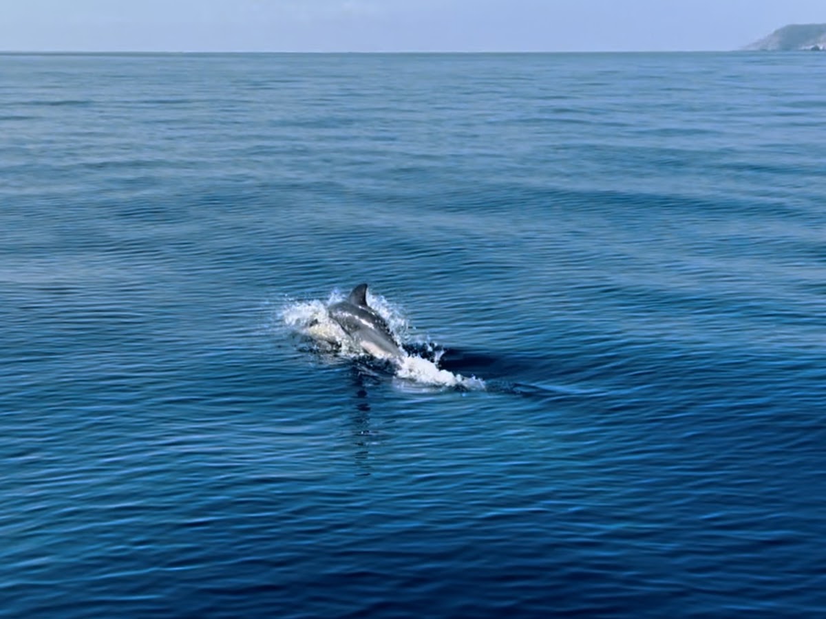 Paros — Paros Private Cruises — galeri