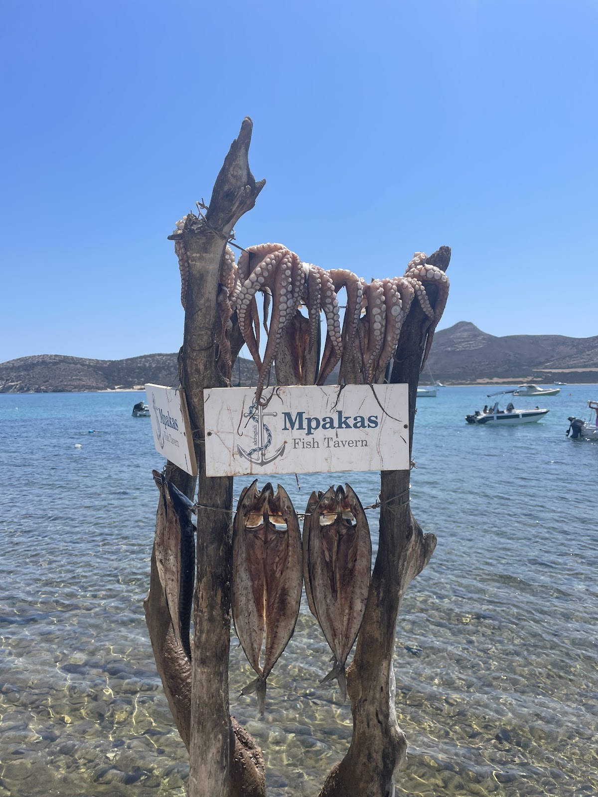 Naxos — Sea Secret Boat Trips — gallery