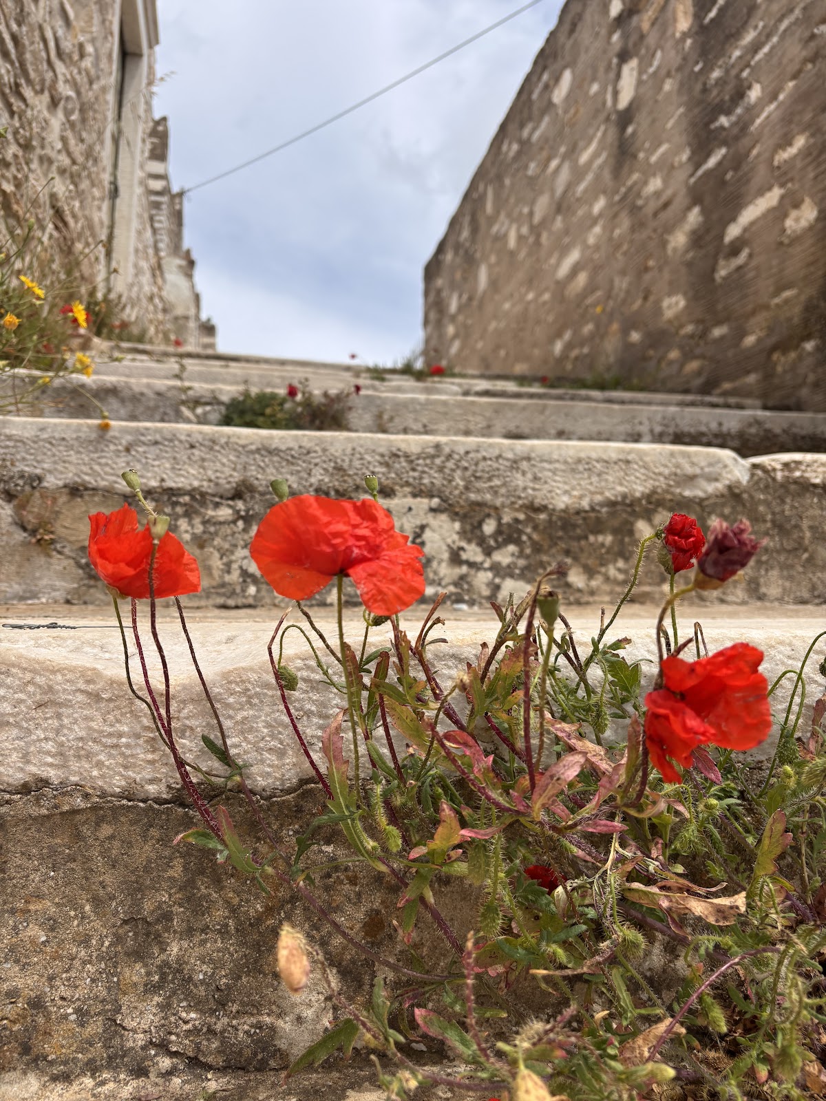 Naxos — Naxos Island Tours — gallery