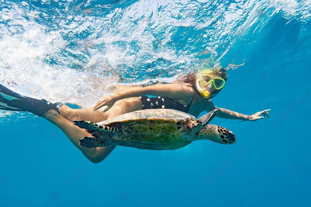 Crete — Crown Cruises Crete Boat Tours Chania Rental Motor Boats Boat Trips Boat Rides — galeri