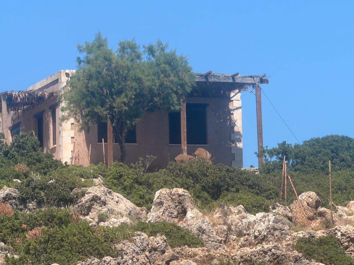 Crete — Sea Smile Chania Private Boat Trips Chania — gallery