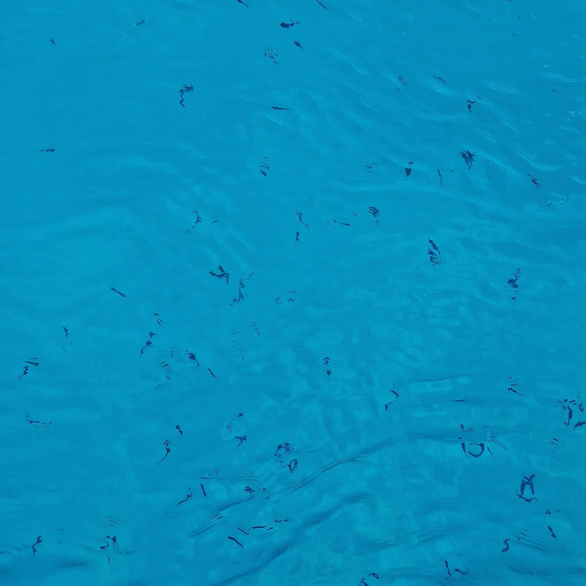 Kalkan — Mobydick Boats — galeri