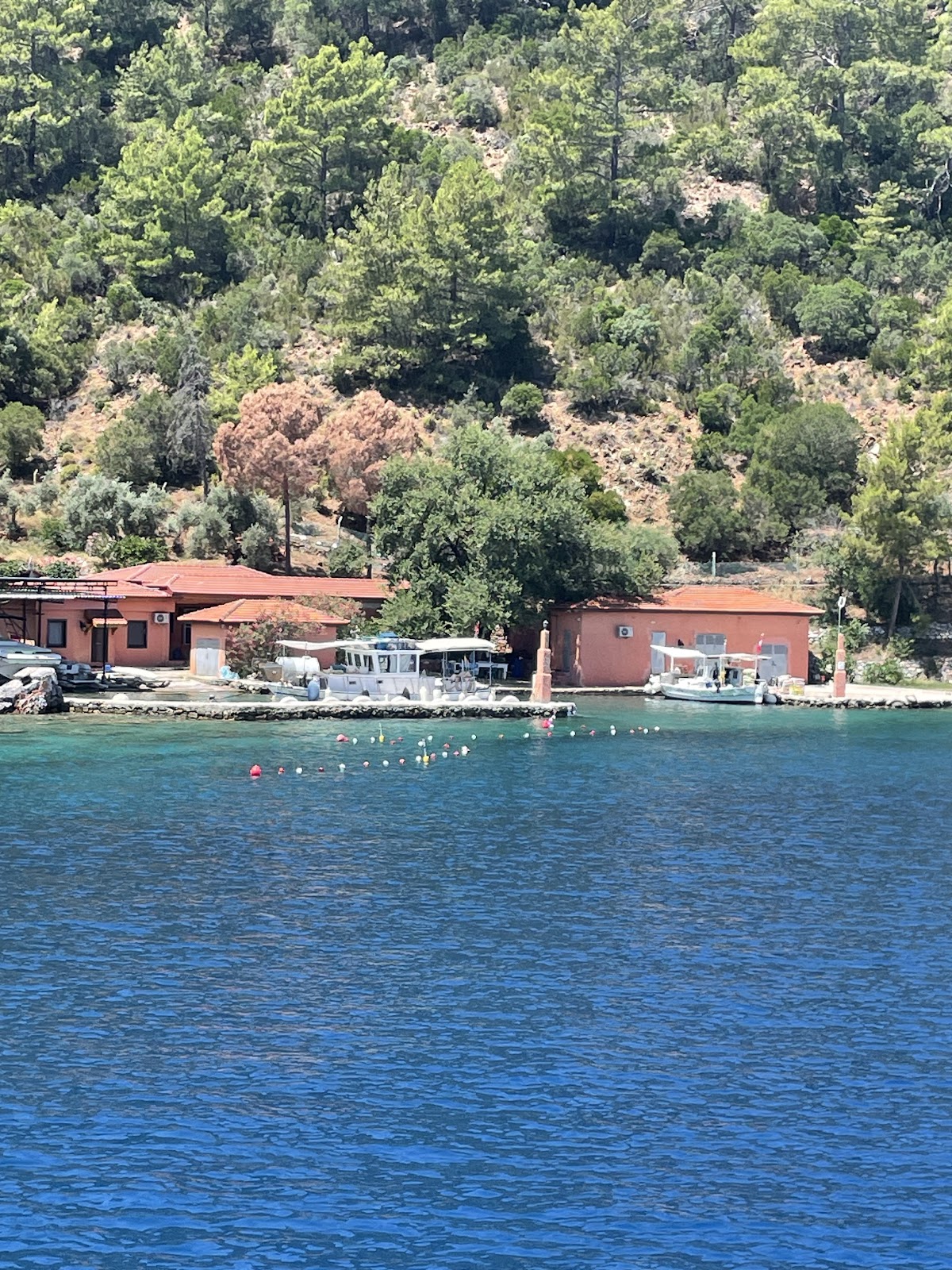Göcek — Serdar Ss Yachting Gocek Gunluk Ve Ozel Tekne Kiralama Gocek — gallery