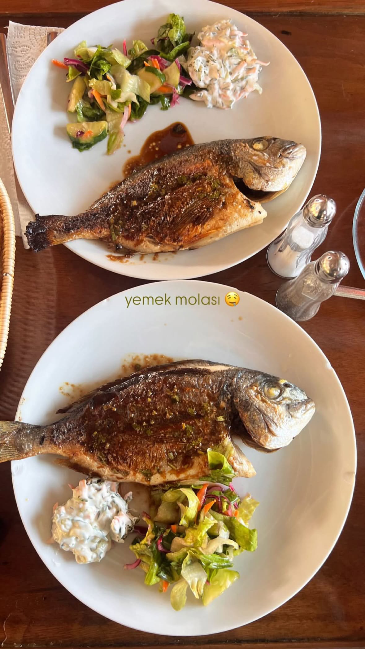 Göcek — Vira Gunluk Gezi Teknesi — gallery