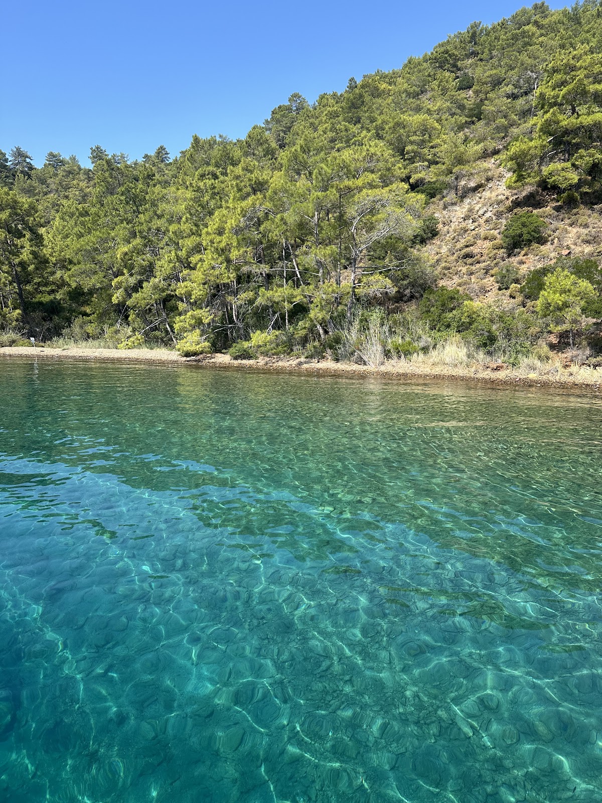 Göcek — Falcon1 Tekne Turu — gallery