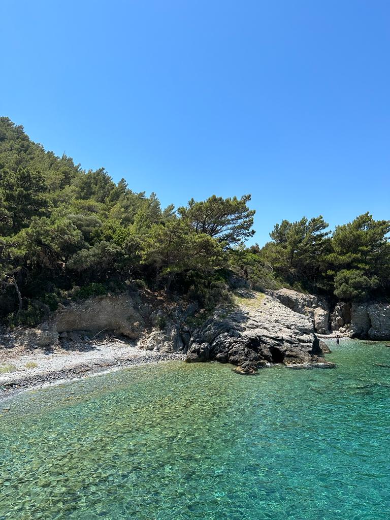 Kuşadası — Kusadasi Tekne Turu Deniz Kusu — gallery
