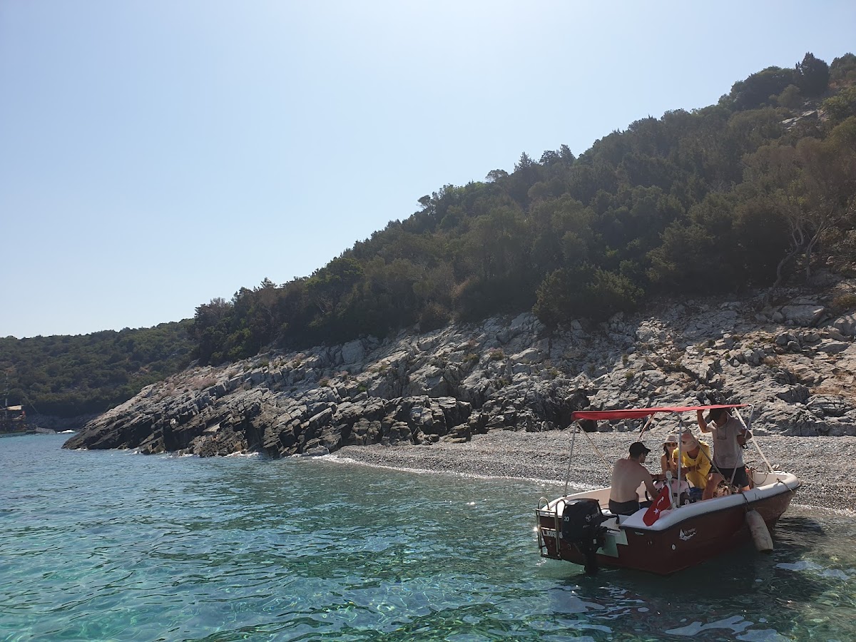 Kuşadası — Kusadasi Tekne Turu Deniz Kusu — gallery