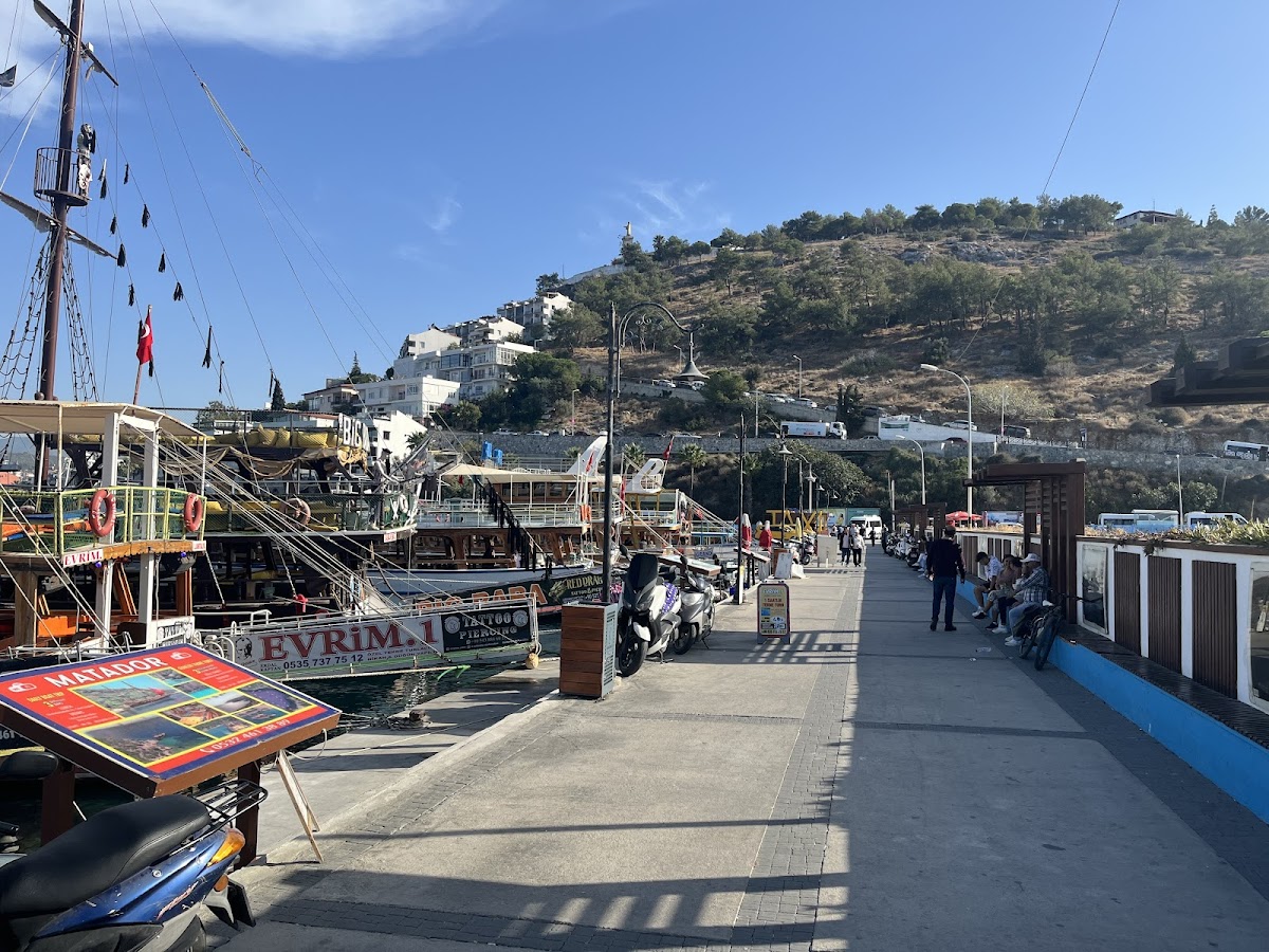 Kuşadası — Kusadasi Tekne Turu Deniz Kusu — galeri