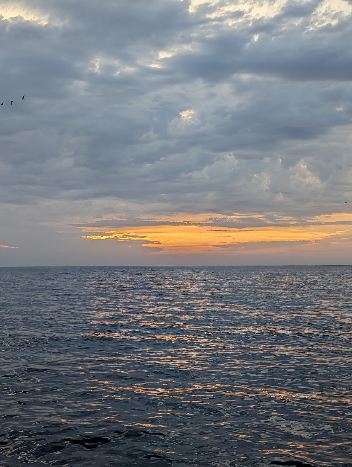 Kuşadası — Kusadasi Tekne Turu Ali Kaptan 2 — galeri