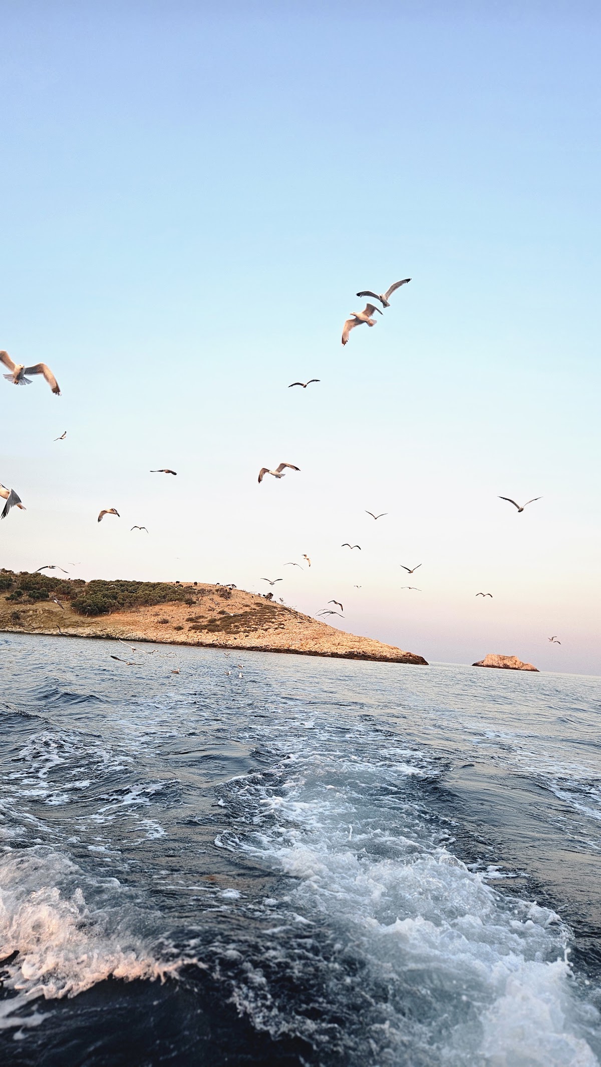 Thassos — Thassos Private Cruising And Sportfishing — gallery