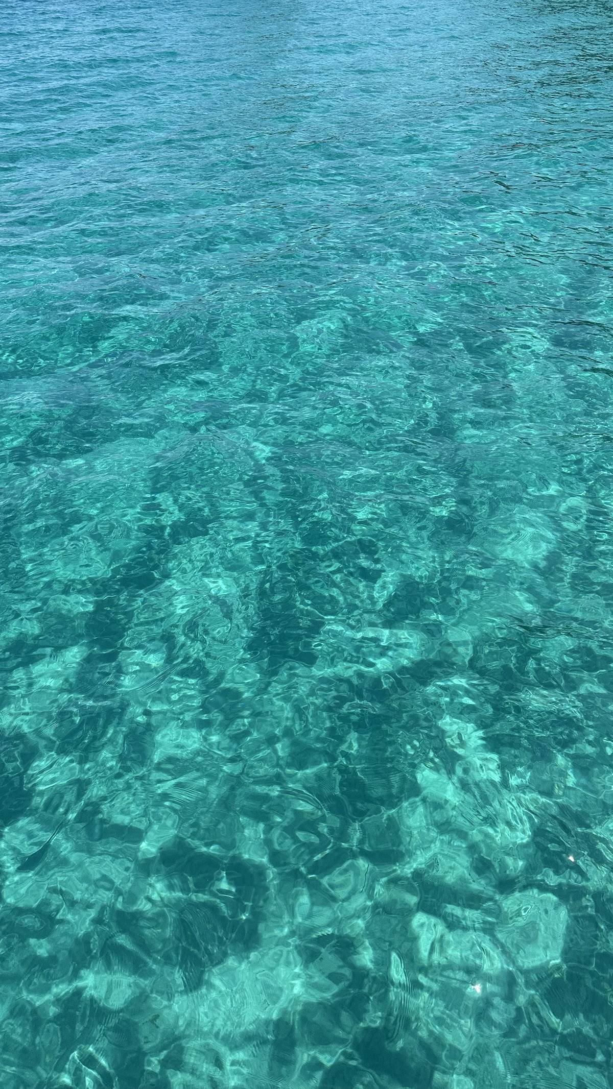 Thassos — Zeus Boat Trips — galeri