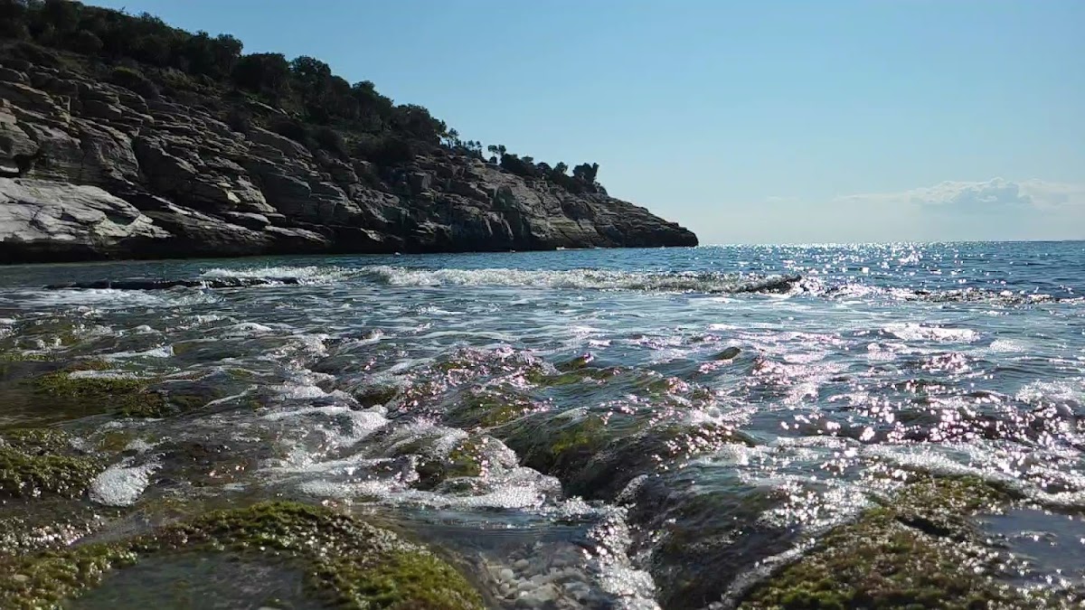 Thassos — Tch Yachting Thassian Cruises Hellas Thassos Daily Cruises — galeri