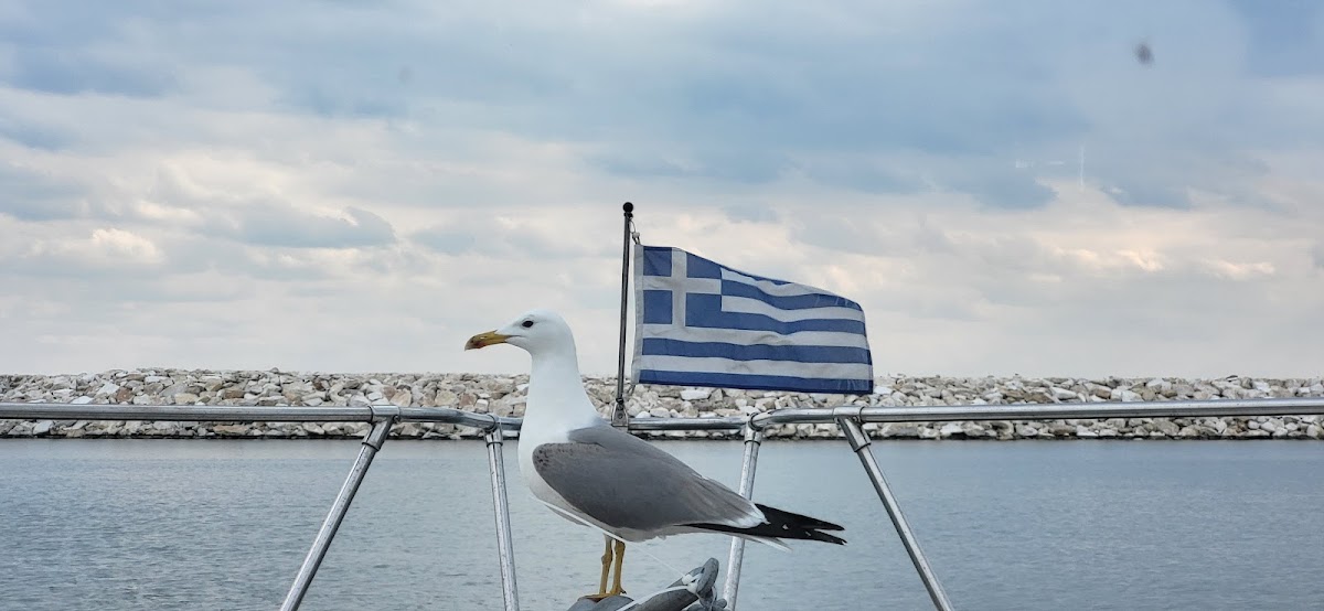 Thassos — Tch Yachting 2 Thassos Daily Cruises — gallery