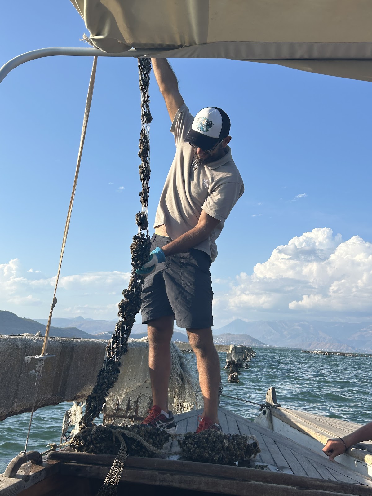 Ksamil — Mussel Sailing Tour With Food And Drink Tasting In Albania — galeri