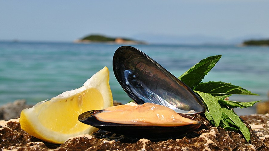 Ksamil — Mussel Sailing Tour With Food And Drink Tasting In Albania — galeri