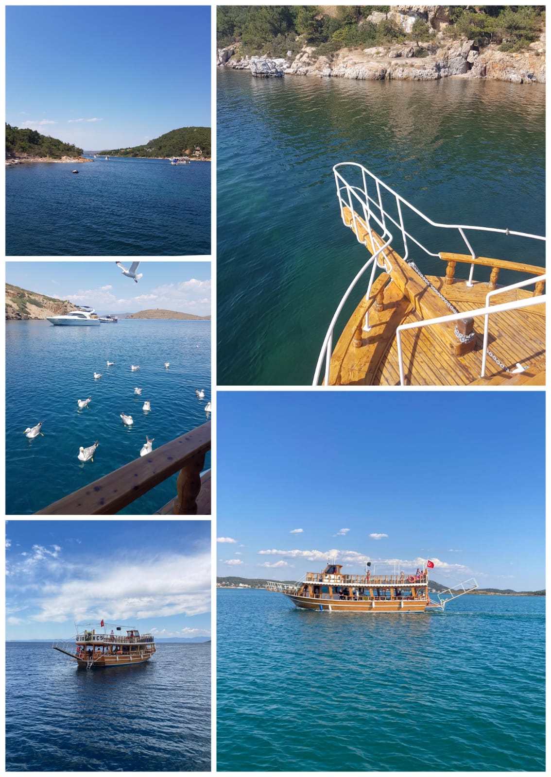 Cunda — Cunda Tur Jasmin C Cunda Adasi Tekne Turu — galeri