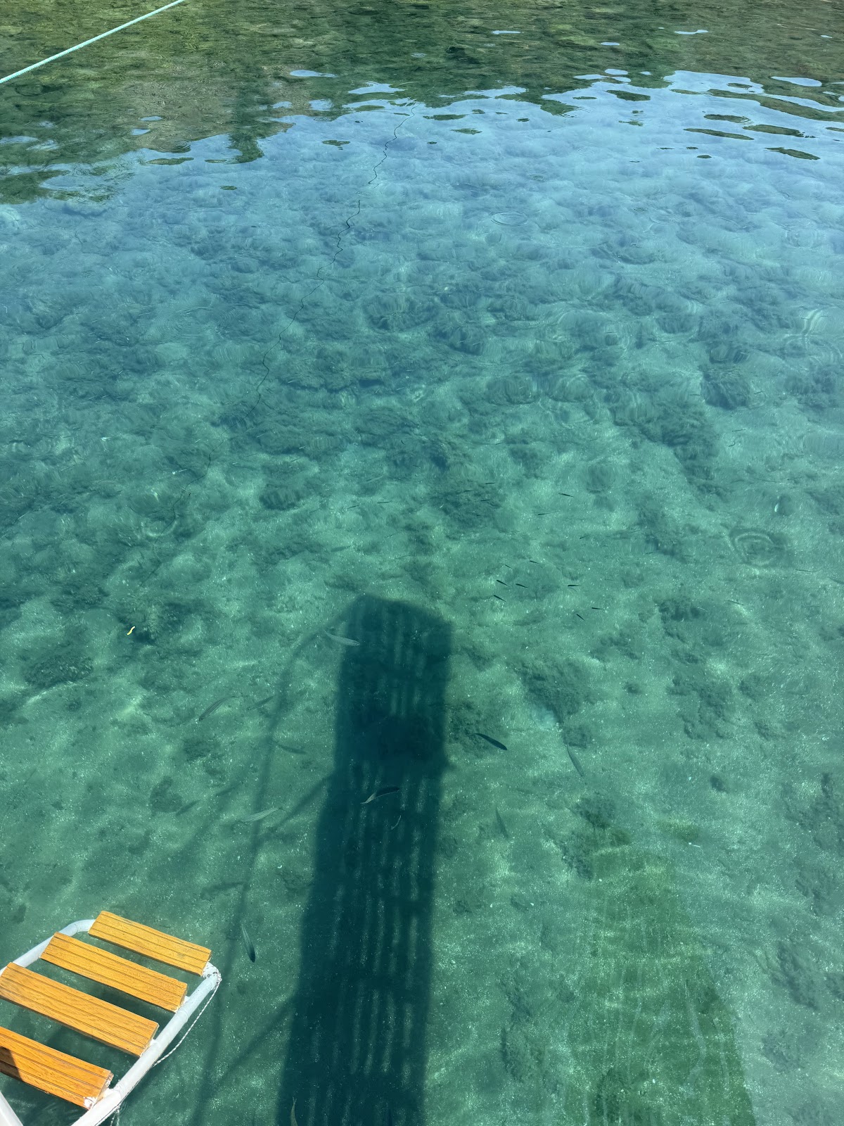 Cunda — Cunda Tur Jasmin C Cunda Adasi Tekne Turu — galeri
