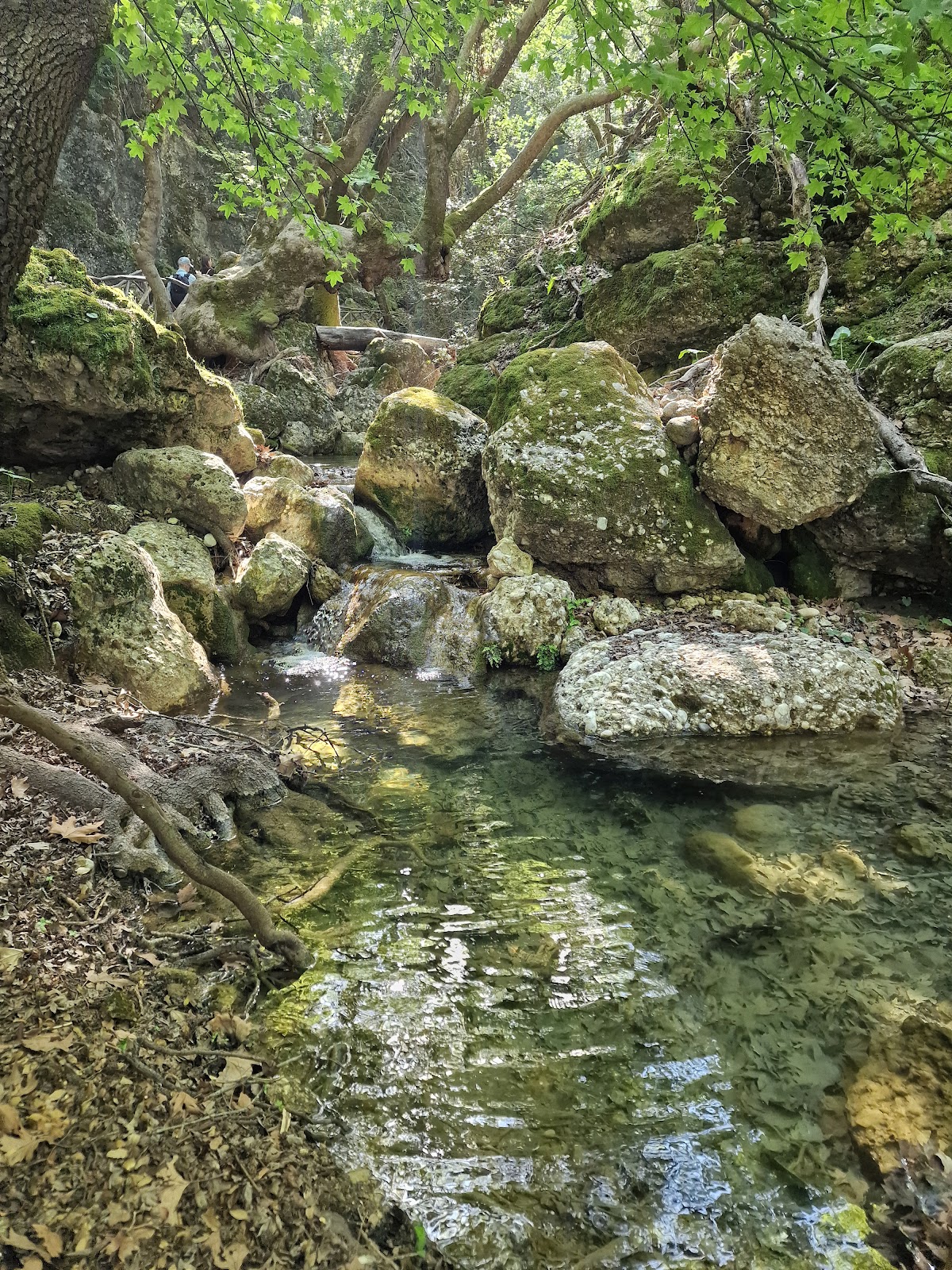 Rhodos — Manos Going Daily Excursions And Private Tours — galeri