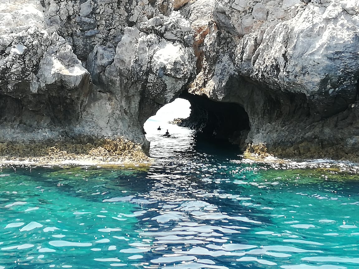Rhodos — Dolphin Tours Rhodos Private Exclusive Tours In Rhodes Catamaran Cruises Sailboat Speed Boat Trips — gallery