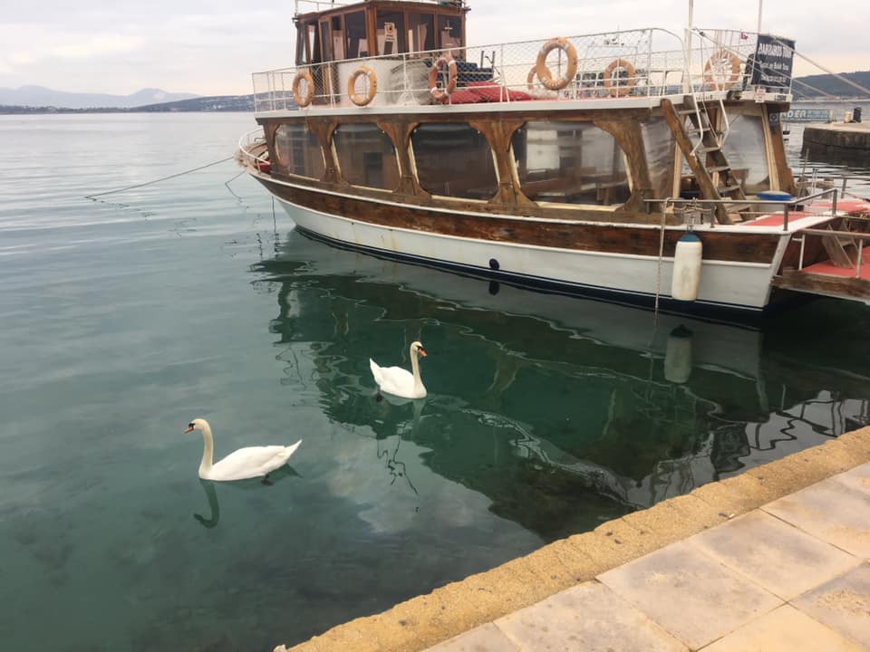 Çeşme — Barbaros Tekne Tour — galeri