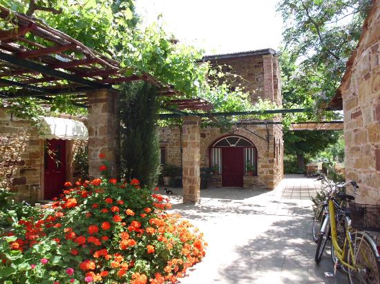 Chios Island — Kanaris Tours — gallery