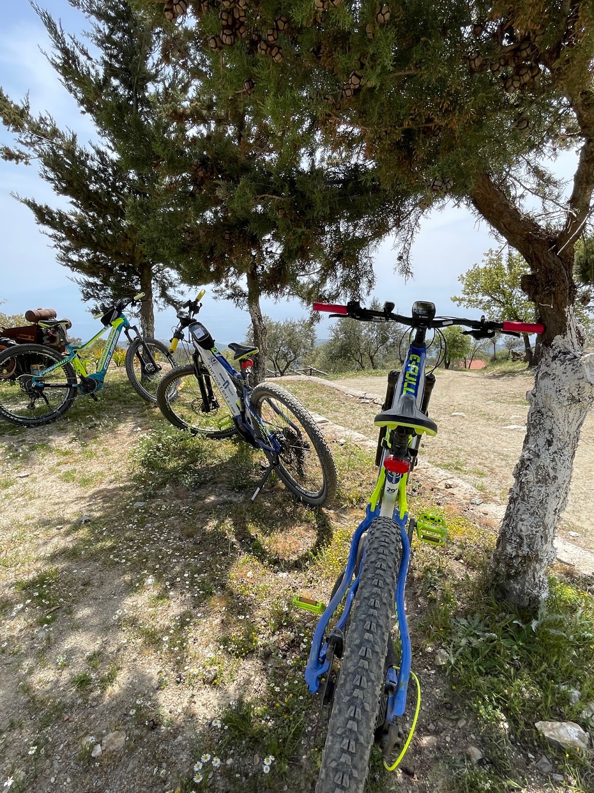 Lesvos — Seafari Adventures — galeri