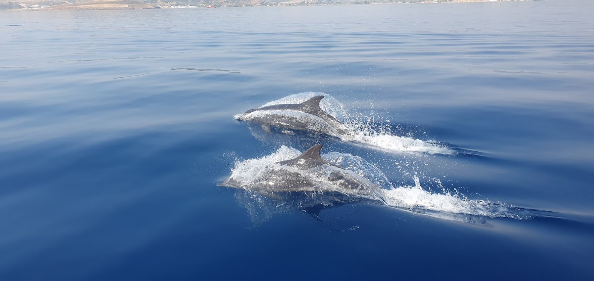 Lesvos — Alternative Sailing — galeri