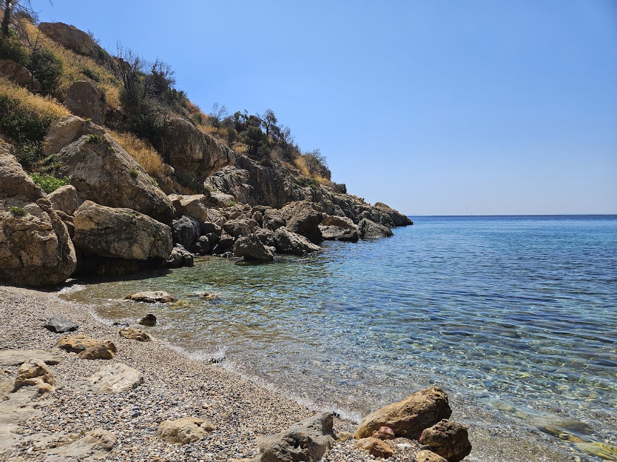 Samos — Fishing Boat Trips Vangelis Despina — gallery