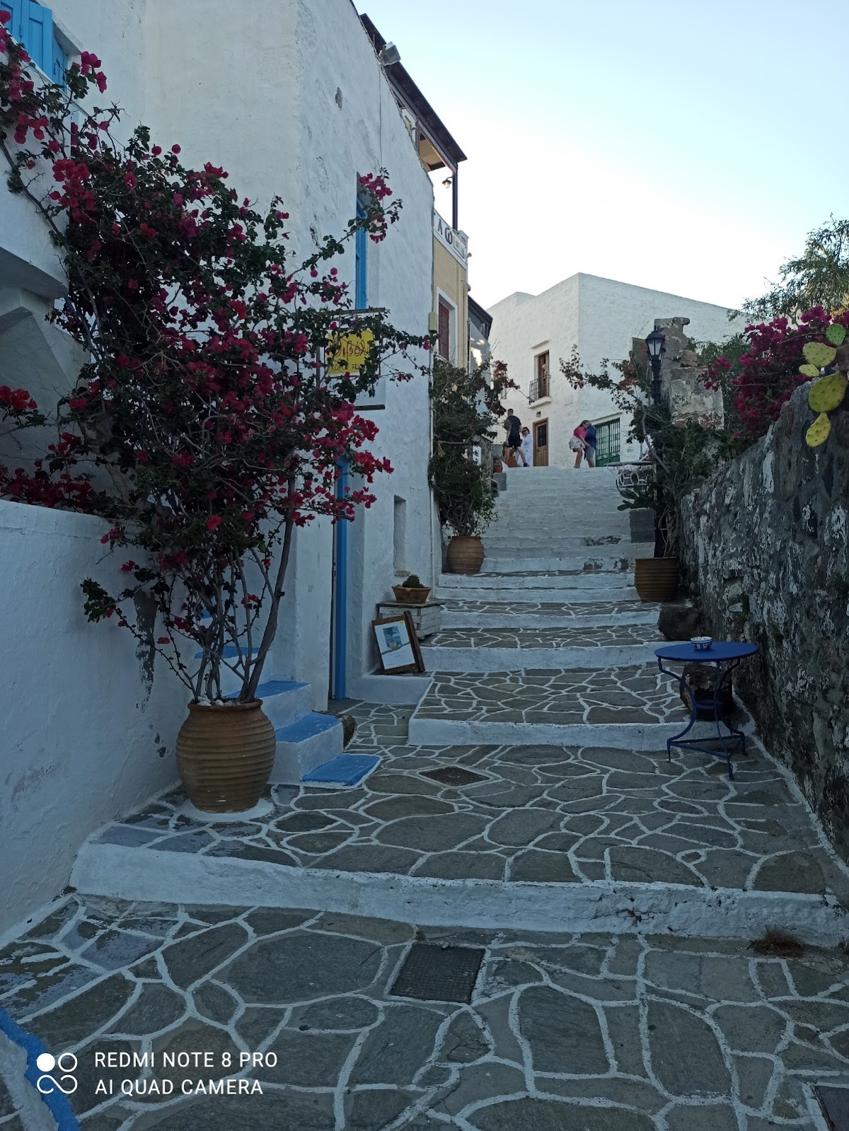 Milos galeri