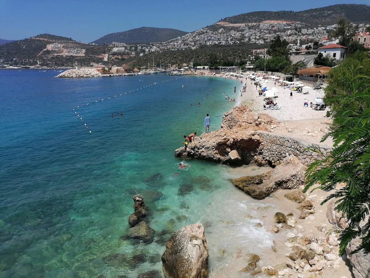 Kalkan galeri