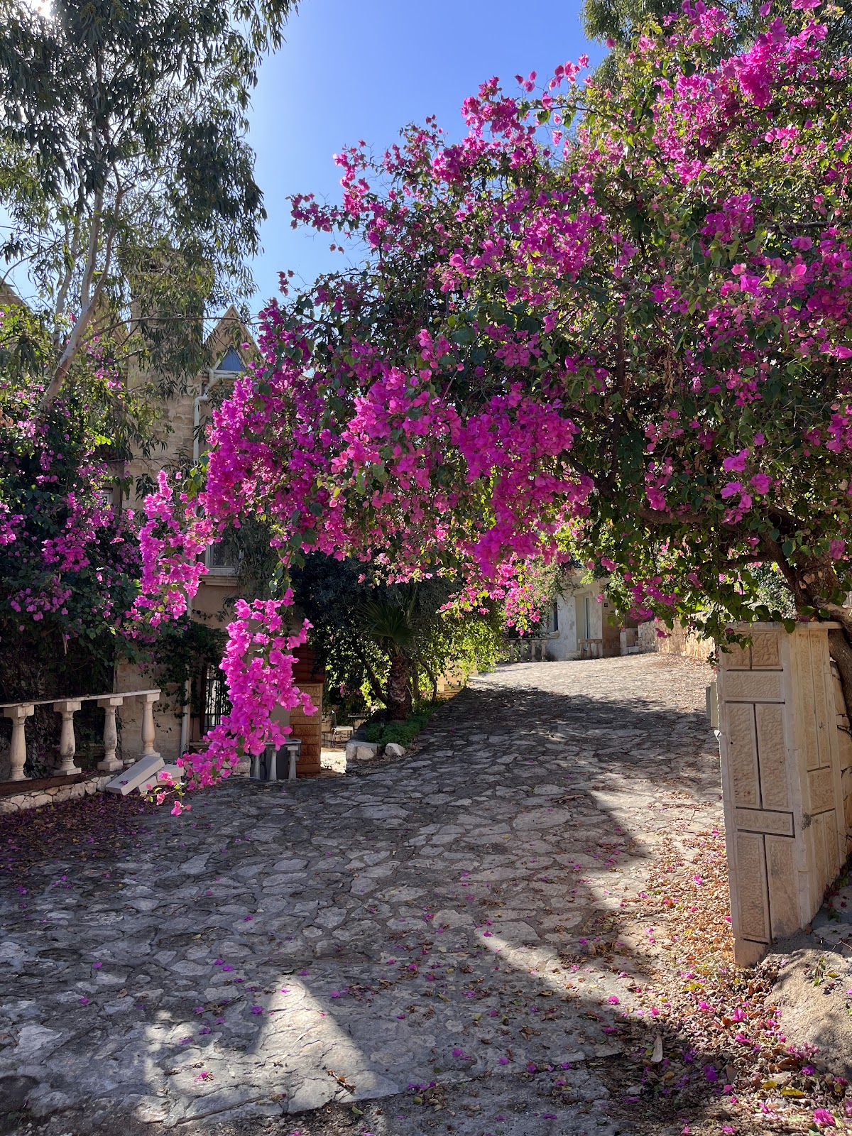 Kaş — Lycia Hotel Kaş - Butik Otel Konforu ve Huzuru — galeri