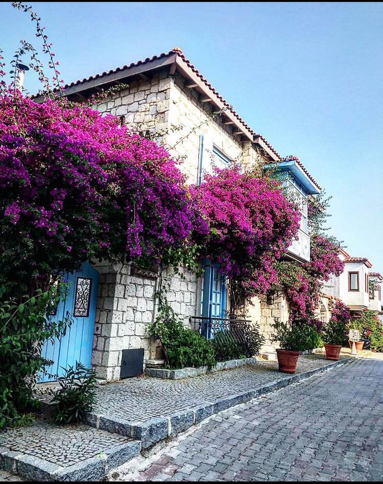 Alaçatı — Asmahan Otel Alacati - Alaçatı'da Butik Konaklama — galeri