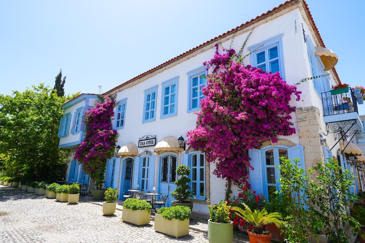 Alaçatı — Alacati Tas Otel - Alaçatı'nın Butik Oteli — galeri