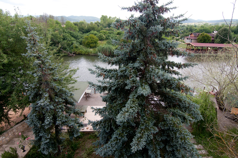 Ağva — Agva Nehir Evi Butik Hotel — gallery