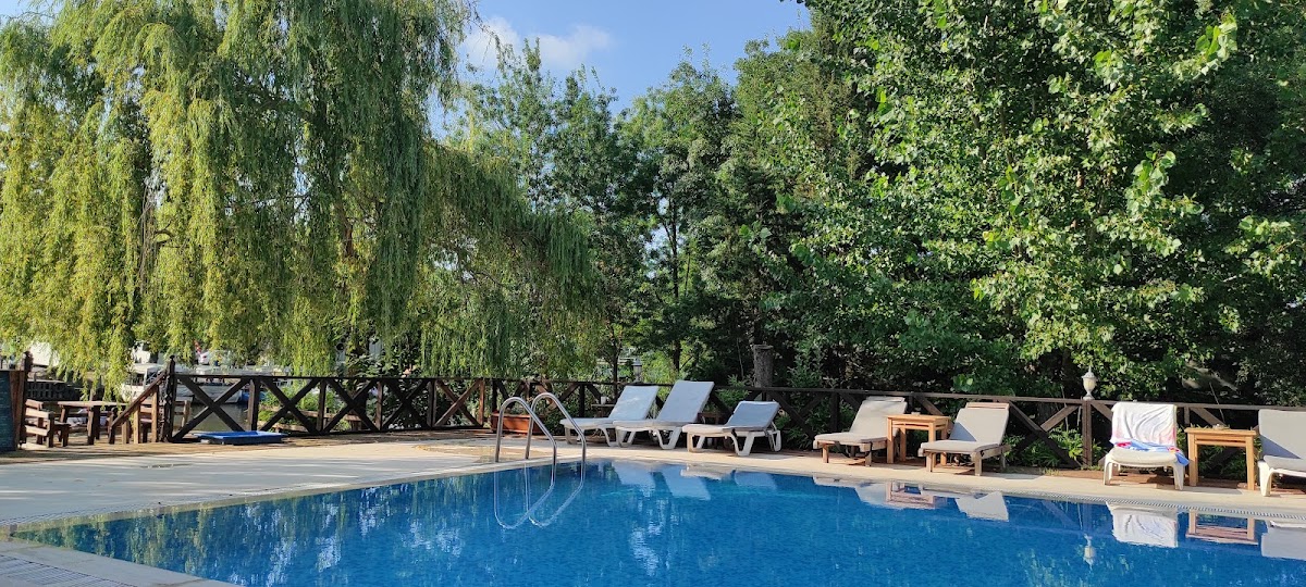 Ağva — Agva Robin S Nest Eco Resort — gallery