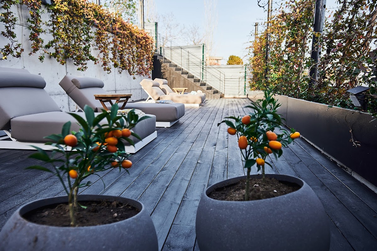 Behram — Rust House Assos Kozlu Tatil Evi - Behram Otel — galeri