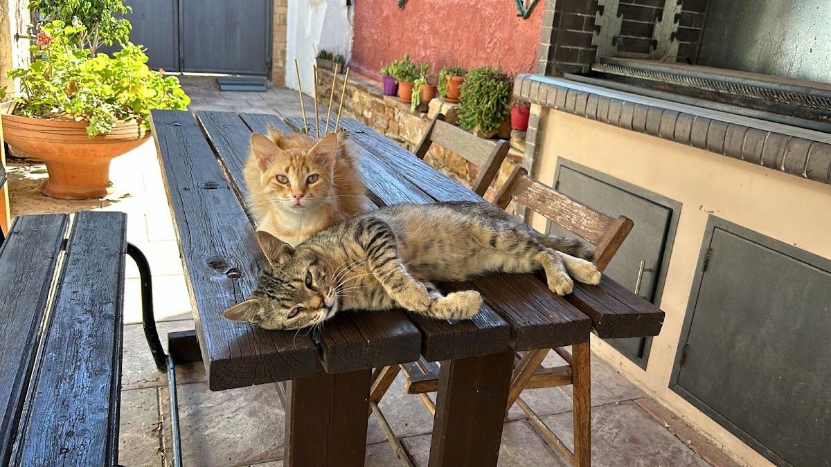 Chios Island — Topakas — gallery