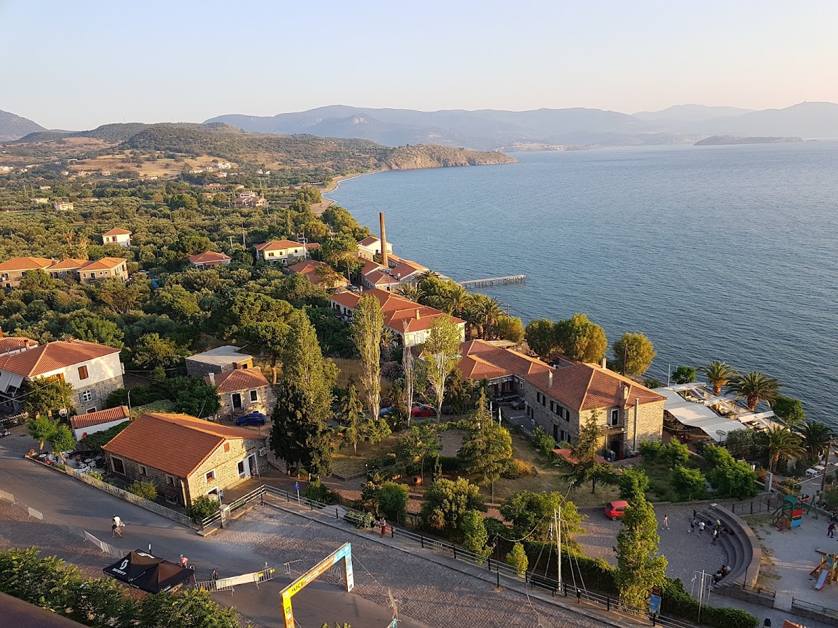 Lesbos — Olive Press Hotel — gallery