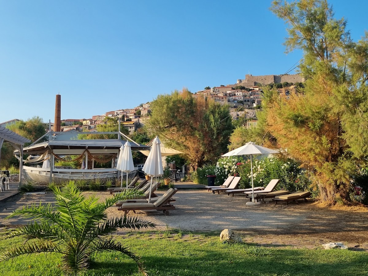 Lesbos — Olive Press Hotel — gallery
